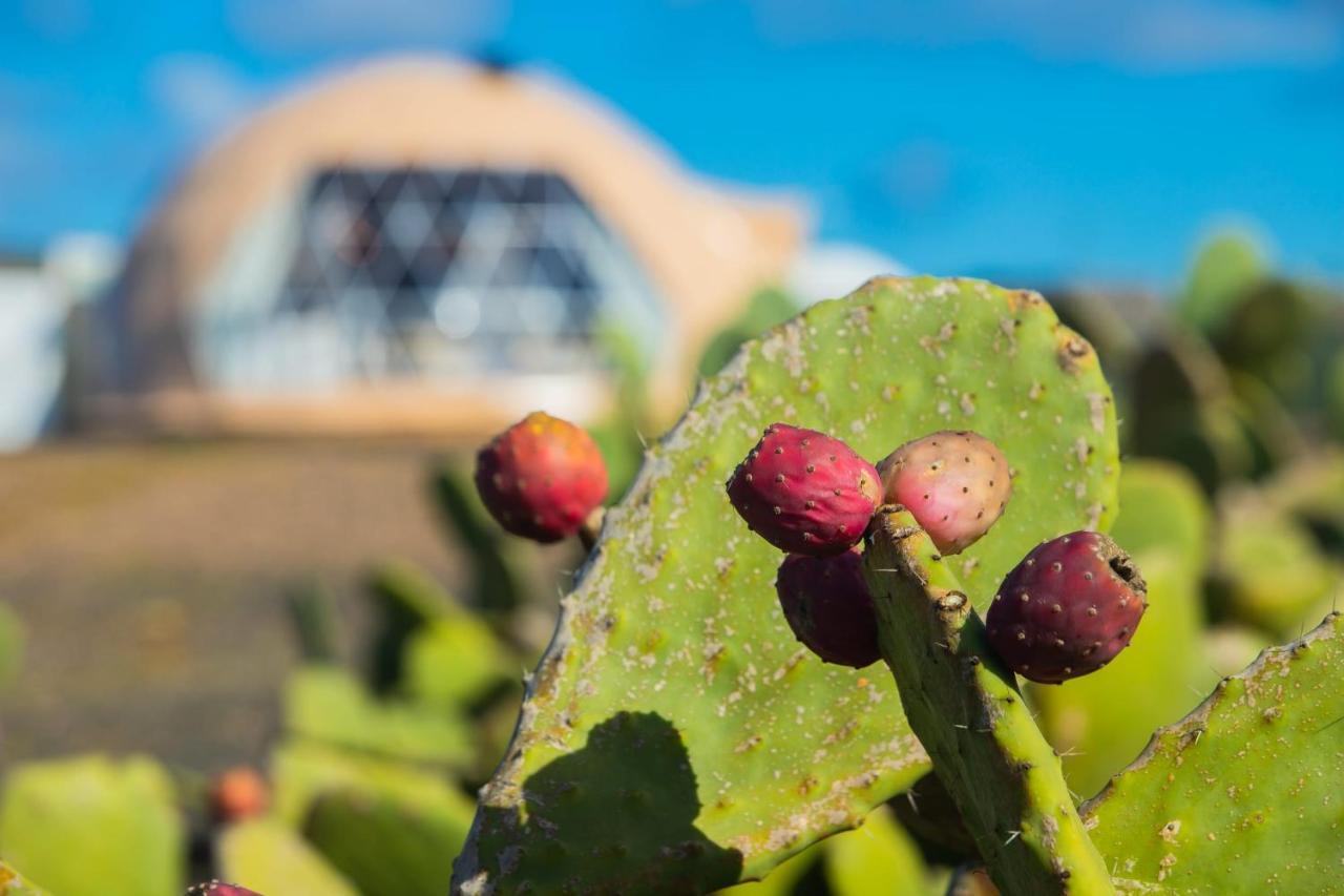 Eslanzarote Luxurious Eco Dome Experience Hotel Teguise  Exterior photo